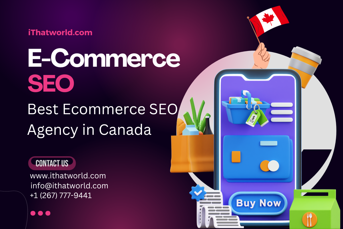 Best Ecommerce SEO agency in Canada