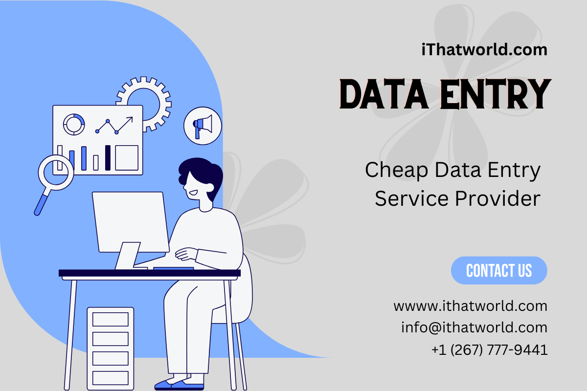 Cheap Data Entry Service Provider